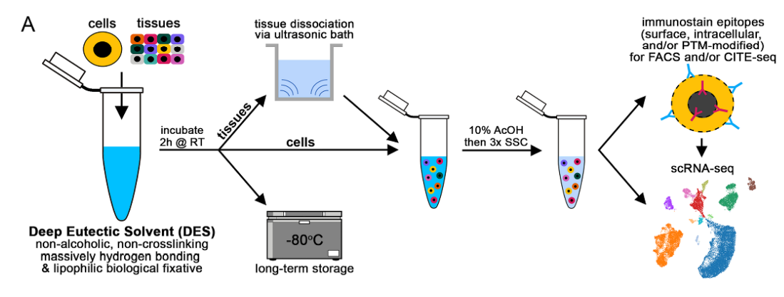 Schematic overview
